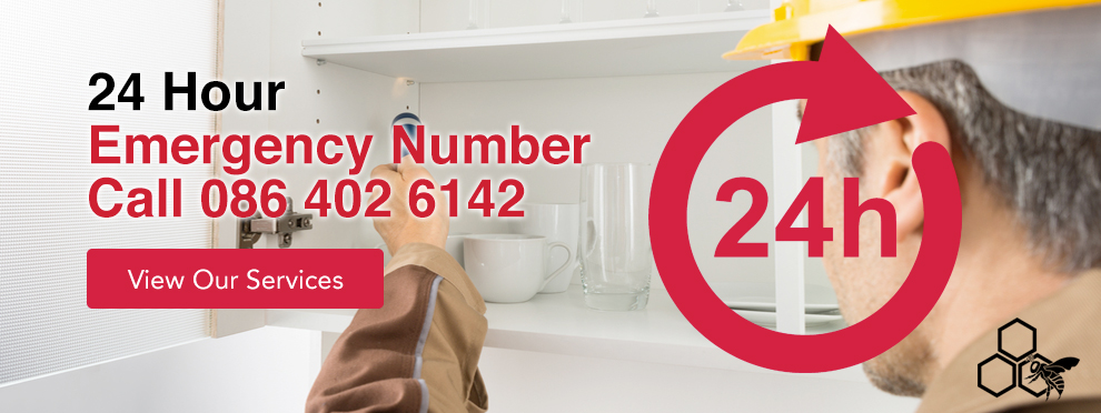 Discrete Commercial & Residential Service - Pestbusters - contact us today