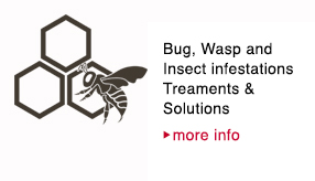 Bee, Wasp & Insect Infestations & Solutions - more info