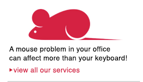 A mouse problem in your office can affect more than your keyboard